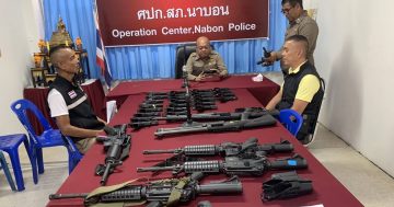 ตรวจอาวุธปืน 